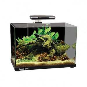 Products: Aqua One Focus 36 Aquarium - Redwood Aquatics Aquarium & Water Garden Centre