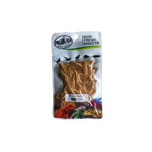 Probugs - Mealworms - Redwood Aquatics Aquarium & Water Garden Centre