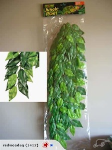 Medium Exo Terra Jungle Plant - Ficus - Redwood Aquatics