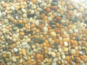 Accessories: Fruit Salad Stones - 5kg - Redwood Aquatics Aquarium & Water Garden Centre