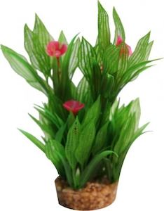 Plastic Plant - Madagascar Lace with gravel base - Redwood Aquatics Aquarium &am…