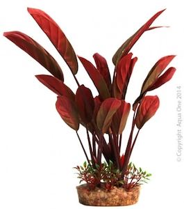 Accessories: Silk Plant - Red Echinodorus with gravel base - Redwood Aquatics Aquarium & Water Garden Centre