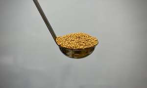 Specialised food: Mustard Seeds