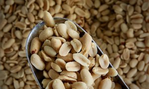 Specialised food: Peanuts, Roasted & Salted