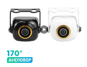 Golden Fish Eye Camera 1080p Mysite