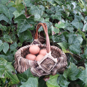 Frame basket (Ōtepoti)