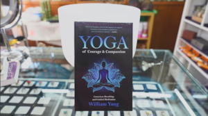 Social and interpersonal skill training: Yoga of Courage and Compassion: Conscious Breathing and Guided Meditation