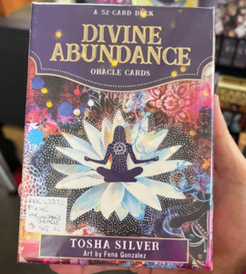 Divine Abundance by Tosha Silver