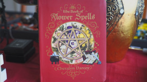 The Book of FLOWER SPELLS