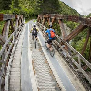 Remutaka Rail Trail Explorer – 1 Person – Daytrip