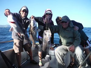 Half Day Fishing Trip – 5 hours – 5 people – Wellington