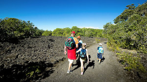 Rangitoto Island Ferry – child (5 – 15 yrs)