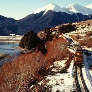 Tranzalpine Train Journey Arthurs Pass Day Tour (1 Adult )