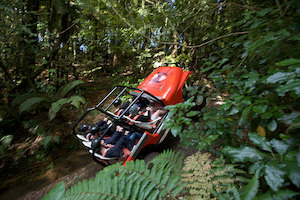 Monster 4×4 Thrill Ride – Rotorua – 2 people