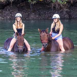 Horse Riding Ride the Waves – Northland 1 Person – 2 Hrs