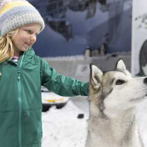 Antarctic Centre General Admission – Child (5-15yrs)