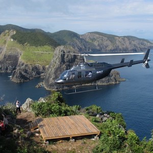 Hole in the Rock Helicopter Flight – Bay of Islands – 1 person