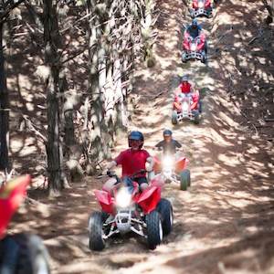 Quadbike Trail Blazer Safari – Auckland (1 hr) – 1 person