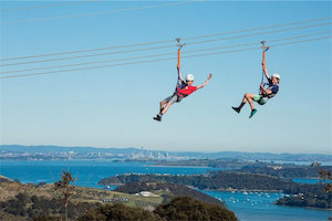 Waiheke Flying-fox Zipline & Native Forest Walk – 1 adult