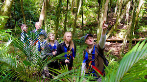 Waiheke Flying-fox Zipline & Native Forest Walk – Family