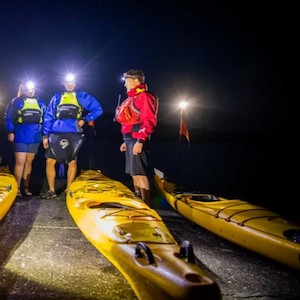 Sunset Kayak Tour Rangitoto Island – 1 Person