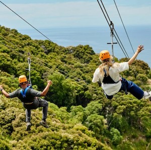 Zipline Kaikoura and Native Forest Trail Kaikoura – 1 adult