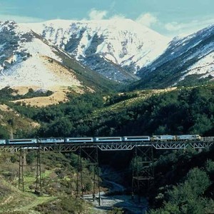 Arthurs Pass Day Tour – Tranzalpine Train Journey – (1 Child)