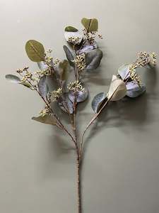 Administrative: GUNNI EUCALYPTUS - SHORT STEM