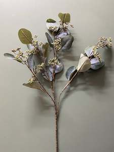 Administrative: GUNNI EUCALYPTUS - LONG STEM