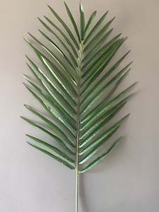 Administrative: ARECA PALM SPRAY