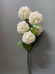 ROSEUM SNOWBALL WHITE