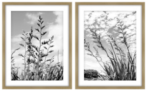 FRAMED WALL ART - HARAKEKE SET OF 2