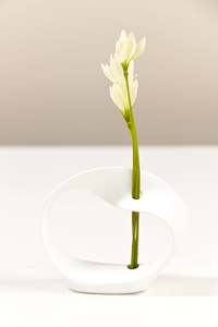 Twisted Ribbon Bud Vase