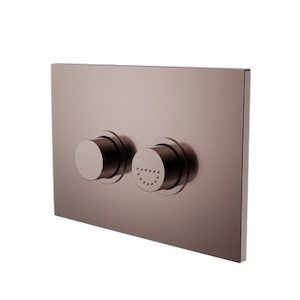 Raised Disabled Care Pneumatic Flush Buttons Plate DDA Compliant Brushed Bronze …