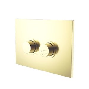 Raised Disabled Care Pneumatic Flush Buttons Plate DDA Compliant Brushed Gold (NRCRPL002BG)