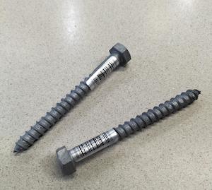 Coach Screw M10X100M Galvanised