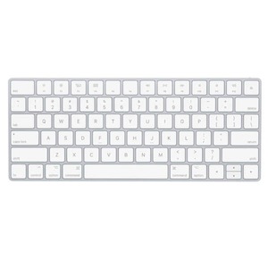 Goods and equipment rental and hiring: Apple Keyboard