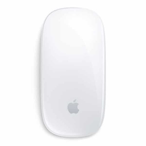 Apple Mouse