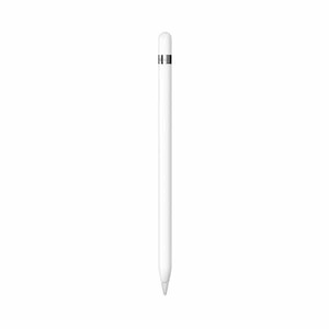 Goods and equipment rental and hiring: iPad Pencil