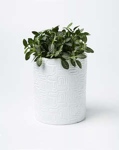 Furniture: Wiggles Planter - White