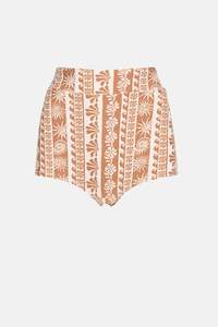 New Swim Arrivals: Seafarer Surf Short Brown