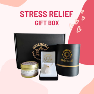 Holiday Bundle: Stress Relief Gift Box