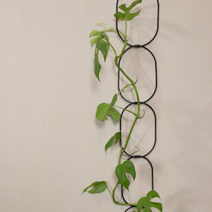 Climbing plant support