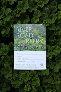 Gift Vouchers