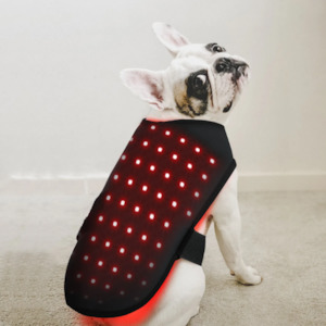 Internet only: Infrared Red Light Jacket for Dogs or Cats