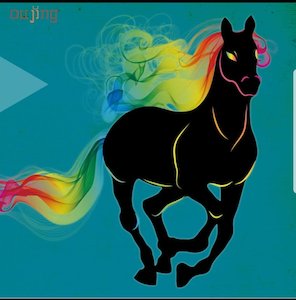 Vinyl PVC sticker wall art 'rainbow horse' 80cm x 90cm