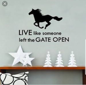 Vinyl PVC sticker wall art 'live like someone left the door open'