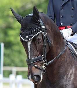 Premier Equine Salto Fly Veil / Ear Bonnet