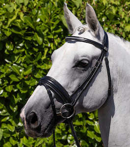 Internet only: Premier Equine Castello Anatomical Bridle