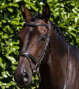 Internet only: Premier Equine Cassano Snaffle Bridle (Brown)